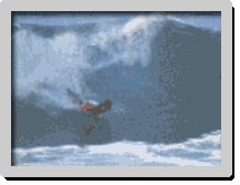 Sources : Surf Session Bodyboard