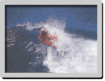 Sources : Surf Session Bodyboard