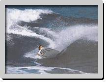 Sources : Surf Session Bodyboard