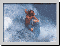 Sources : Surf Session Bodyboard