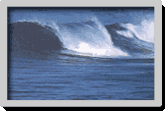 Sources : Surf Session Bodyboard